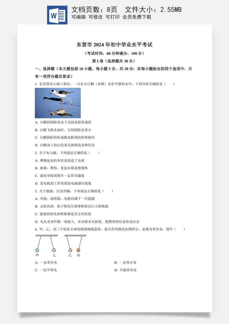 精品解析：2024年山东省东营市中考物理试题（原卷版）.docx