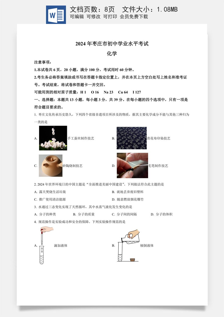 精品解析：2024年山东省枣庄市中考化学真题（原卷版）.docx